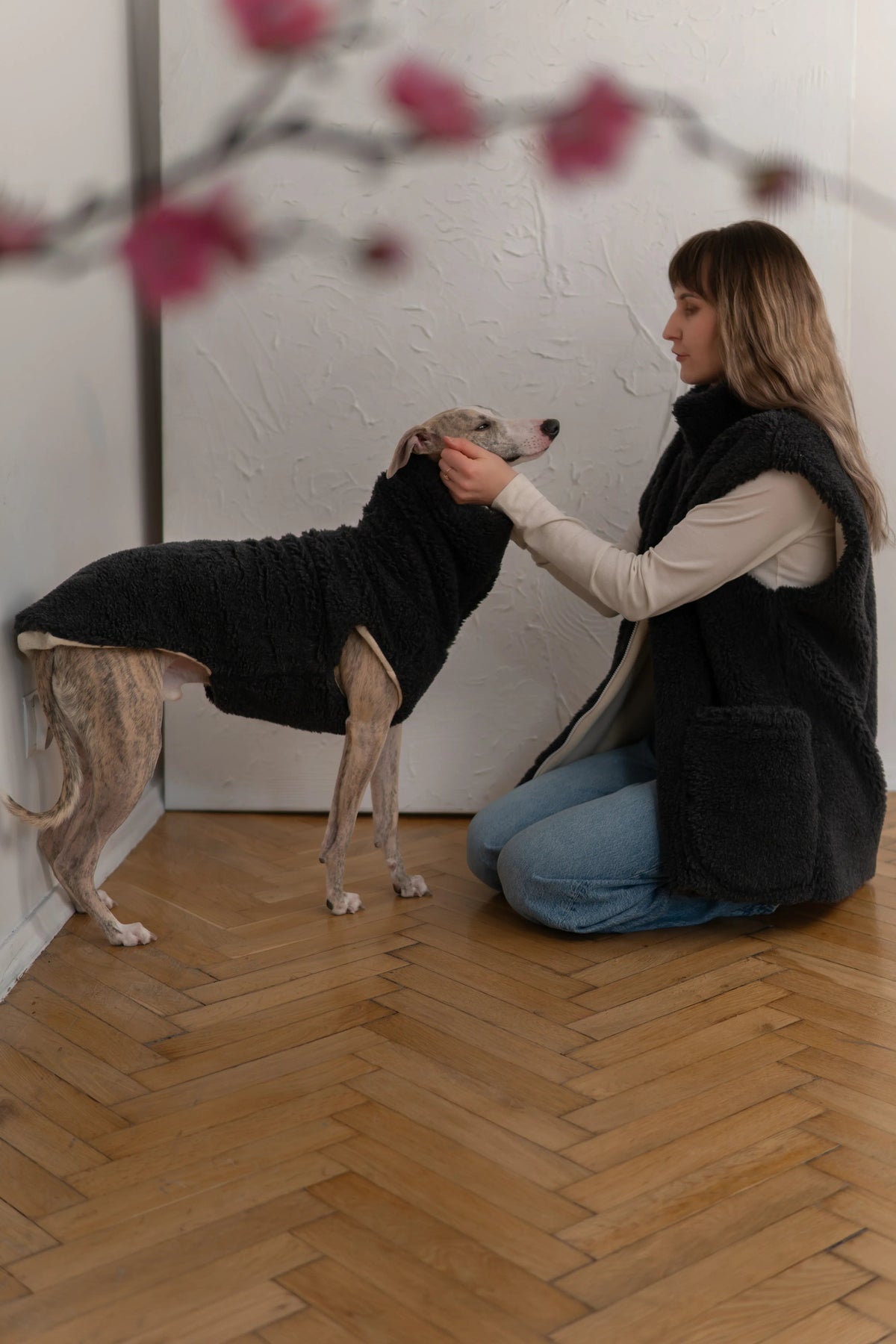 Teddy Wool Dog Vest – Charcoal