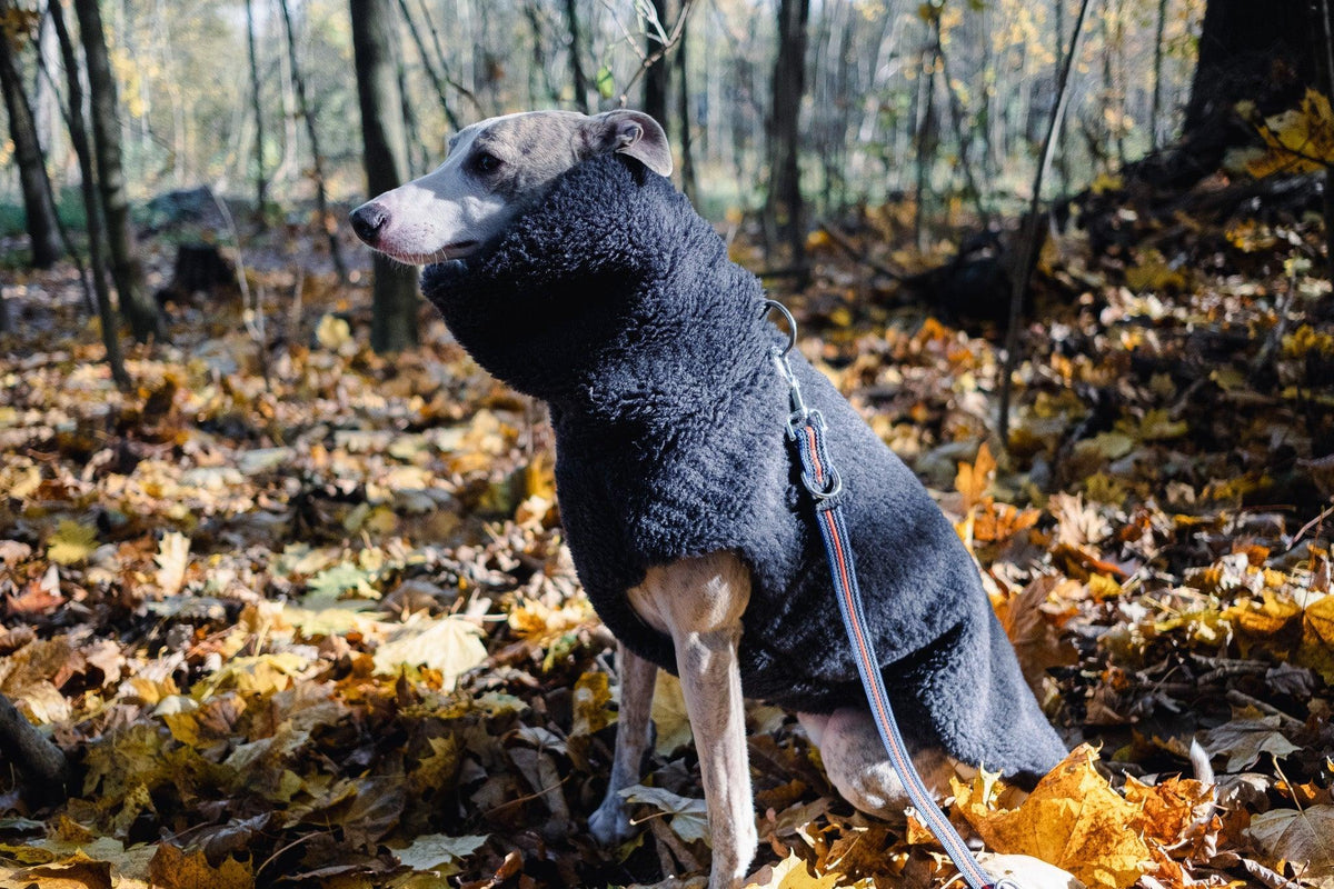 Teddy Wool Dog Vest – Charcoal