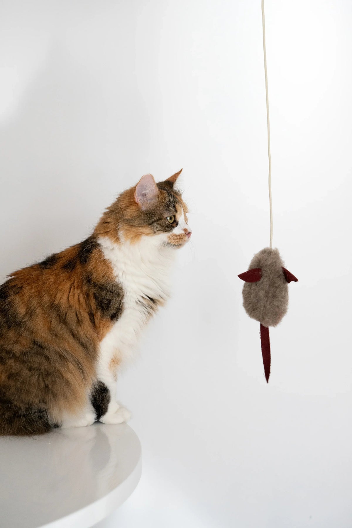 Natural Wool Cat Mouse Toy