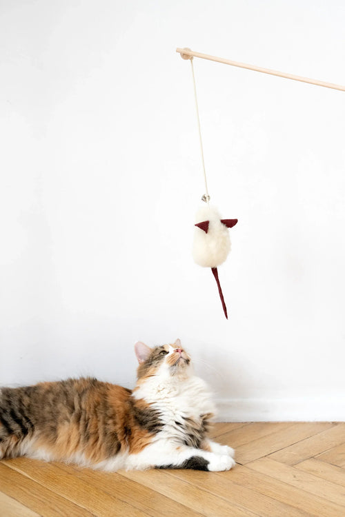 Natural Wool Cat Mouse Toy