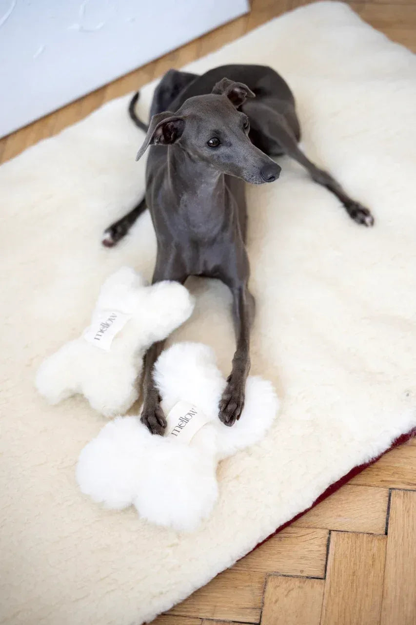 Natural Wool Dog Bone Toy