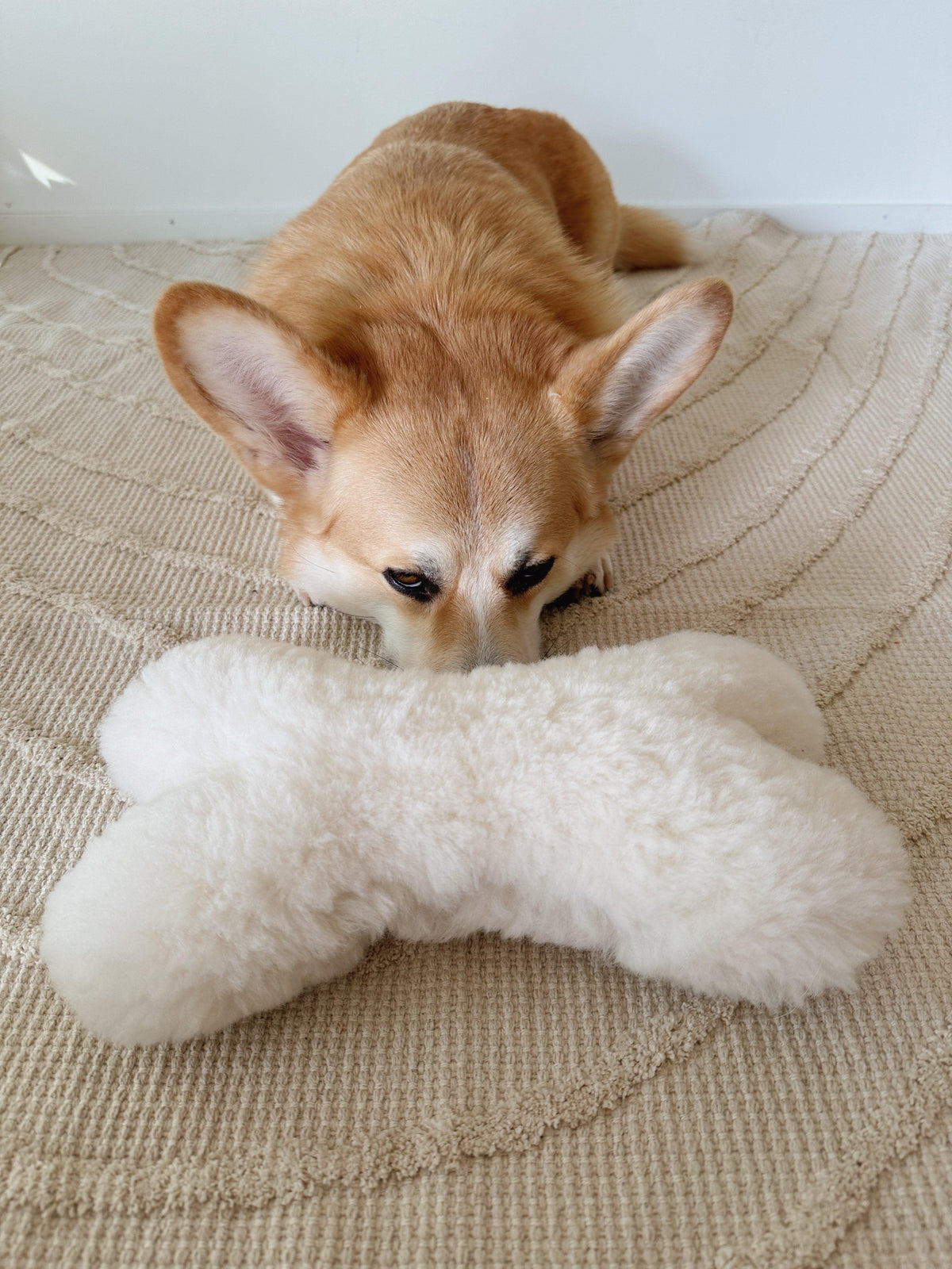 Natural Wool Dog Bone Toy